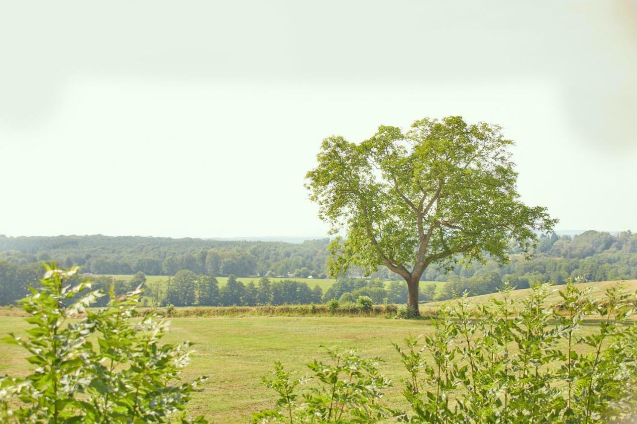 ホテル Relais Koenigsberg アーヘン エクステリア 写真
